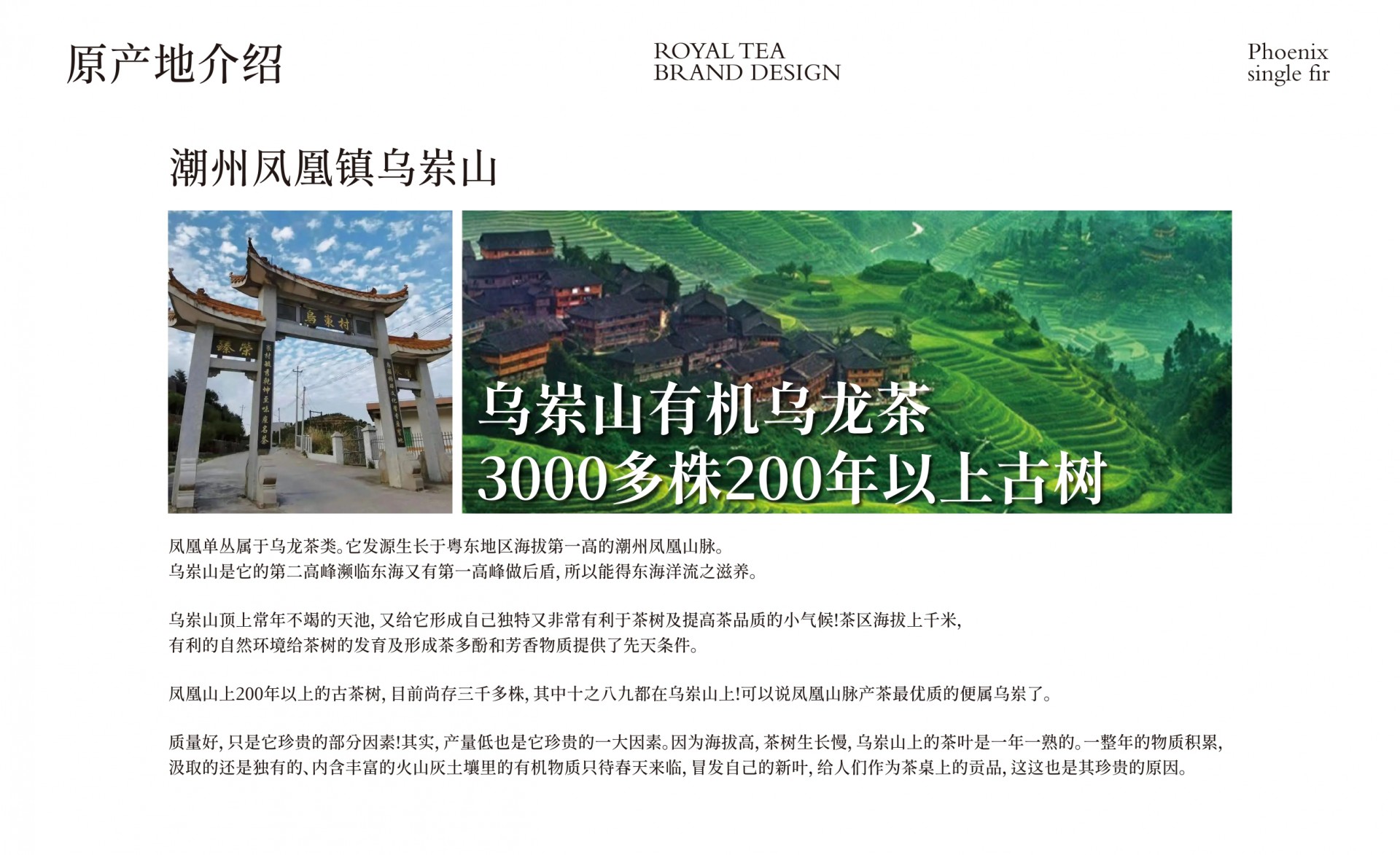 乌岽老寨品牌logo设计方案_page-0006.jpg